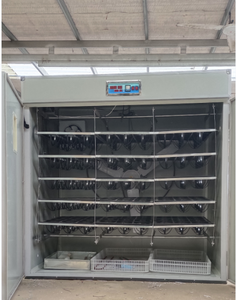 Incubateur d'œufs d'autruche entièrement automatique, capacité de 120 mètres cubes, équipement d'aquaculture, incubateur d'œufs d'autruche. - Product Image 1