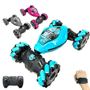 AiJH Cheap Remote Control Car 4WD Rc Auto Double Sided Driving RC Drift Car 360 Rotation Hand Gravity Gesture Rc Stunt Car