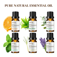 Coffret Cadeau d'Huiles Essentielles de Lavande et d'Arbre à Thé 100% Pures et Biologiques avec Acide Kojique et Citron Vert pour l'Aromathérapie et le Soulagement du Stress