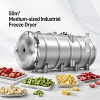 Machine de lyophilisation industrielle Huchuan pour la transformation alimentaire, grande capacité, acier inoxydable SUS304, commande PLC, chauffage au gaz