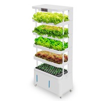 Système d'hydroponie intelligent à commande à distance, armoire de culture automatique pour plantes d'intérieur, planteur hydroponique pour la laitue et les herbes