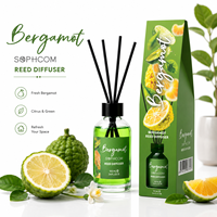 Diffuseur à bâtonnets 100ml Oud Bois de Santal Parfum Boisé Parfum d'Ambiance Maison Bâtonnets Longue Durée Désodorisant Huile Naturelle Cadeau de Luxe