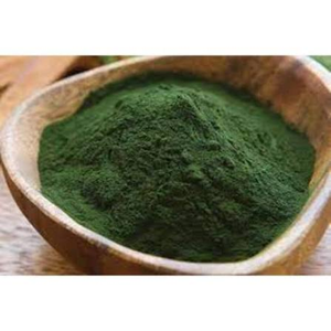 Poudre d'algues vertes biologiques Chlorella Vulgaris de qualité alimentaire, ingrédient superalimentaire naturel premium pour compléments alimentaires et smoothies - Product Image 2