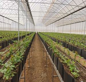 Agriculture PP Roll Cultivation <b>Troughs</b> Hydroponic Agriculture Plastic <b>Planting</b> Channel - Product Image 4