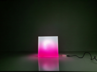 Boîte à lumière LED RGB personnalisée OEM, sculpture lumineuse 3D pour magasin de détail, restaurant, hôtel, intérieur