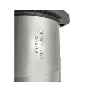 Bomba Hidráulica de Doble Engranaje Serie PLP20 PLP10, PLP20.14D0-82E2-LGE/GD-N-EL, PLP10.1D0-30S0-LOB/OA-N-EL-FS, Tipo de Engranaje - Product Image 2