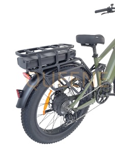 NOUVEAU 2025 Vélo Électrique Tout-Terrain à Suspension Intégrale, Pneus Larges 26 Pouces, Double Batterie, Moteur 48V 52V 60V 750W 1500W 2000W, Modèle TDE09Z - Product Image 5