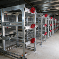 Cage à poulets automatique galvanisée de type H pour 60-80 poulets de chair ou pondeuses – Équipement d'élevage avicole