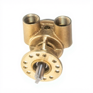 Pompe à eau brute auto-amorçante 10-24334-11 F5B-9 pour <span class=keywords><strong>moteur</strong></span> diesel marin <span class=keywords><strong>Nanni</strong></span>, montage à bride en bronze, port 3/4 pouces - Product Image 1