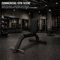 Chaise romaine en métal durable pour la plaque d'entraînement de force chargée 45 banc de sport d'exercice de dos d'extension pour l'usage à la maison de gymnase