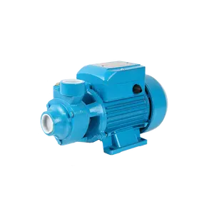 Ruiqi 1/2HP 0.37kw trong nước vườn điện nông nghiệp động cơ máy bơm nước cho nhà qb60 máy bơm nước giếng