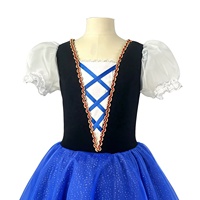 Robe Tutu de Ballet Style Folklore Bleu Royal pour Filles, Manches Courtes Bouffantes, Ourlet Rayé, Jupe en Tulle, Costume de Scène de Ballet, Fabrication en Usine