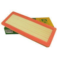 Filtre à air automobile CA-P845U 1444QS 1444WV 1444RY 1444WV 1611891780 1444RX 9664191180 1444QR pour Peugeot 207 Citroën Opel BMW MINI