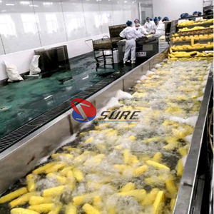 <span class=keywords><strong>Ligne</strong></span> de traitement de maïs en conserve personnalisée de haute qualité pour le maïs sucré/maïs - Product Image 6