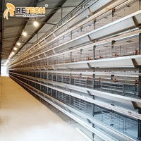 Système d'élevage de 20 000 poules, équipement de cage avicole automatique de type H
