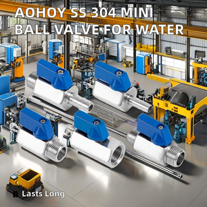 Toyi Electric Acero inoxidable 304 Válvula de alivio ajustable 1/4 "BSP/NPT Rosca hembra para regulación de fluidos de precisión Aceite de agua - Product Image 6