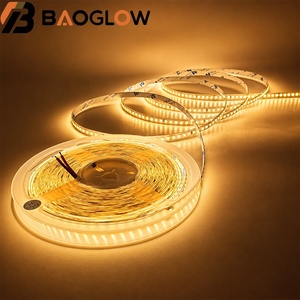 High Luminous Efficiency BHJ-2835-160D LED Strip 8mm PCB DC24V 6W/M 3000K 4000K 6500K Flexible Indoor Light - Product Image 1