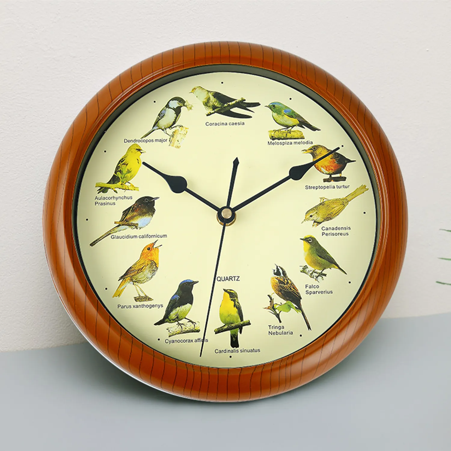 Home Decoration Wall Clock Enjoy 12 Seconds of Bird With Call Song from 12 favourite birds singing