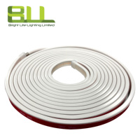 Bande lumineuse LED néon flexible 05*11mm 24V IP67 étanche blanc chaud dimmable éclairage paysager extérieur pour allée garantie 3 ans