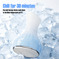 Herramientas para el Cuidado de la Piel, Palitos Criogénicos Blancos, Rodillo de Hielo de Acero Inoxidable para Lifting Facial, Gua Sha en Forma de Corazón, Esferas de Hielo para la Cara