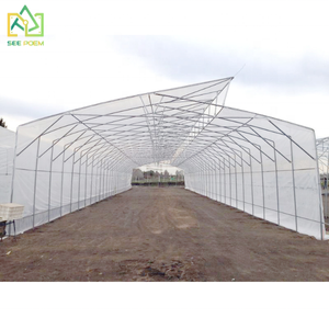 Grande serre agricole personnalisée Double système hydroponique intégré en PE pour la culture de fraises Serre en polycarbonate - Product Image 2