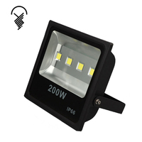 Haute luminosité bon prix coque noire 200W lumière d'inondation publicitaire