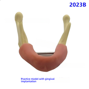 Modelo de práctica de implante dental anatómico con Molde de resina, entrenamiento de ciencia médica, hueso simulado y encías blandas, diente faltante - Product Image 4