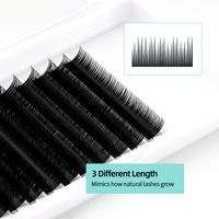 Vente en gros de cils doux naturels de marque privée personnalisés 0.07 0.05 0.03 C D Extension de cils individuels en cachemire de camélia de longueur mélangée