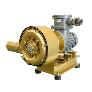 Customizable ATEX Pneumatic Regenerative Blowers and Vacuum Pumps