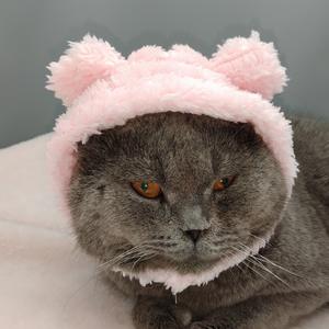 かわいいふわふわポリエステルパンダのクロシェ編みハロウィン無地冬クリスマス猫犬ペット帽子 - Product Image 1