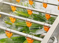 Pandanbladeren Groente Fruit Bellenwasmachine Snijmachine en Sapblender