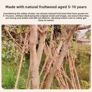 Arbre à chat intégré en bois massif naturel, design floral adorable, jouet d'intérieur <span class=keywords><strong>pour</strong></span> chat, mobilier <span class=keywords><strong>pour</strong></span> animaux de compagnie, vente en gros OEM, directement de l'usine - Product Image 3