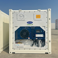20ft Koelkast Reefer Thermo King Vriezer Container Voor Het Vervoer Van Fruit Vlees En Zeevruchten.