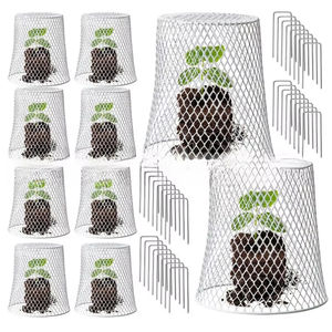 Protector de Hierro Reutilizable para Vegetales, para Invernadero, Trasplante de Plántulas, Protector de Plantas de Hierro - Product Image 1