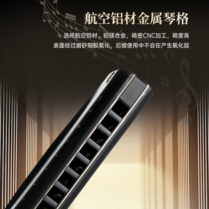 Feifan 10 Hole Blues Harmonica Mc20 Diatonic Mouth Organ For Beginners And Professionals Made In China - Product Image 4