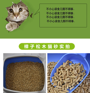 สินค้าขายดีประจำปี 2025 ทรายแมวจากไม้สน พร้อมคุณสมบัติกำจัดกลิ่นอย่างมีประสิทธิภาพ - Product Image 4