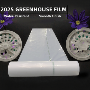 कृषि 200 माइक्रोन ग्रीनहाउस फिल्म 2025 कारखाने मूल्य 6 मील नमी-प्रूफ पी प्लास्टिक फिल्म को कवर किया गया - Product Image 2