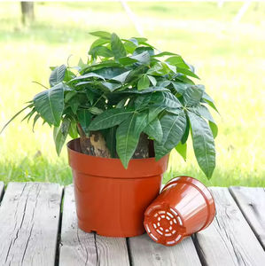 <strong>Extra</strong> <strong>Large</strong> Double Color Printed Plastic <strong>Planter</strong> - Modern Pot for Garden Floor - Product Image 5