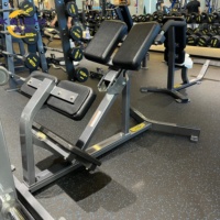 Banc d'hyperextension commercial, chaise romaine, équipement d'entraînement du bas du dos, banc de fitness pour l'amélioration de la force des fessiers et des ischio-jambiers