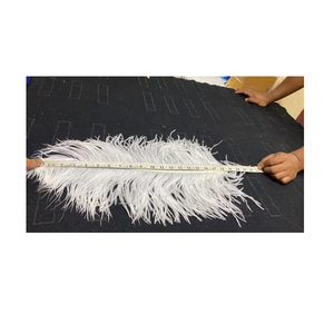 Plumas de Avestruz Teñidas Naturales de Soraj Enterprises, de 24 a 26 Pulgadas, para Bodas, Fiestas, Decoración del Hogar, Disfraces, Manualidades, Accesorios de Moda - Product Image 5