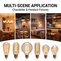 Ampoules halogènes Edison dimmables E27 E14 ST64 G80 G125 T45, lampes tubulaires globe, AC 220V, lumière ambrée chaude pour l'éclairage de lustres de café