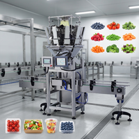 Multifunctionele multihead weegschaal voor het verpakken van fruit in punnetdozen, inclusief machine voor het vullen van cherrytomaatjes en clamshell verpakkingen.