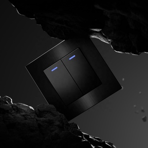 שקע קיר ומתג לוח אלומיניום מוברש תקן אירופאי מוברש <span class=keywords><strong>2</strong></span> כנופיה 1 דרך 10a 250V קיר מתג אור עם מחוון הוביל - Product Image 2