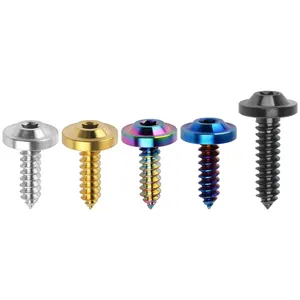 Motorcycle screws gr5 Titanium Hex Socket Head Self-tapping Bolts Hex Head Screws M5