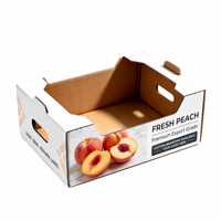 Boîte cadeau en carton ondulé personnalisée pour fruits frais, avec poignée, qualité export, pour l'emballage de produits, motif pêche réaliste