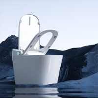 Inodoros inteligentes de cerámica para baño con asiento, luz nocturna LED y tanque oculto, de fabricación china.