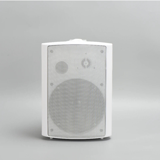 JBHKJ 124B 5 Inch 30W 2.0 Channel Wired Wall Mounted Speaker System with 100Hz-20kHz Frequency Range for Public Address