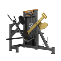 Presse à Bras Double à Charge Libre LAND en Acier Inoxydable Commercial Pliable pour Entraînement des Triceps et du Dos