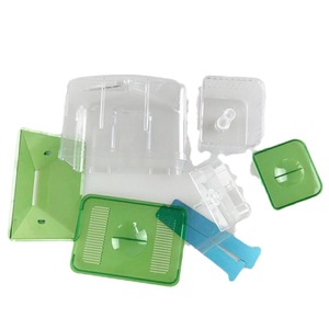 Lussuoso Acquario in Plastica Ecologica per Allevamento e Isolamento di Pesci Tetra - Product Image 6