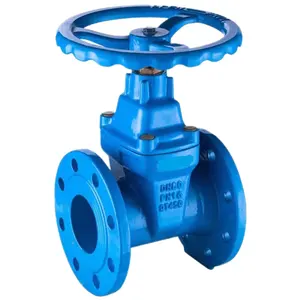 ANSI API ASTM MSS DIN JIS Sluice gate Valve Rubber Soft Seal Ductile Iron Flanged Ends Gate Valve For Water